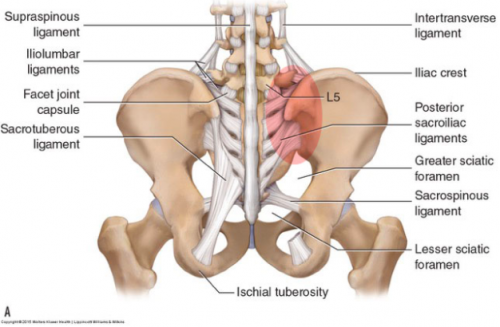 Lower Back Pain Archives - Capital Physiotherapy